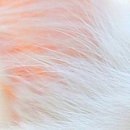 №100, Виталина Мач, Харьков №100, Виталина Мач, Харьков