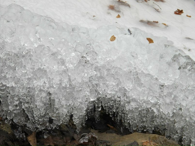 Игорь Баженов | 