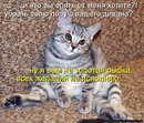 Фотография Голикова Дениса