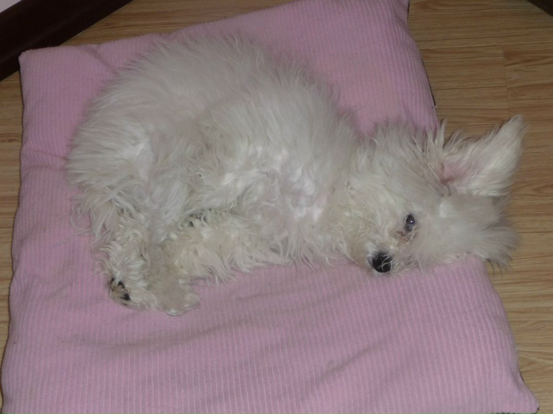 Наталья Волкова | Люберцы