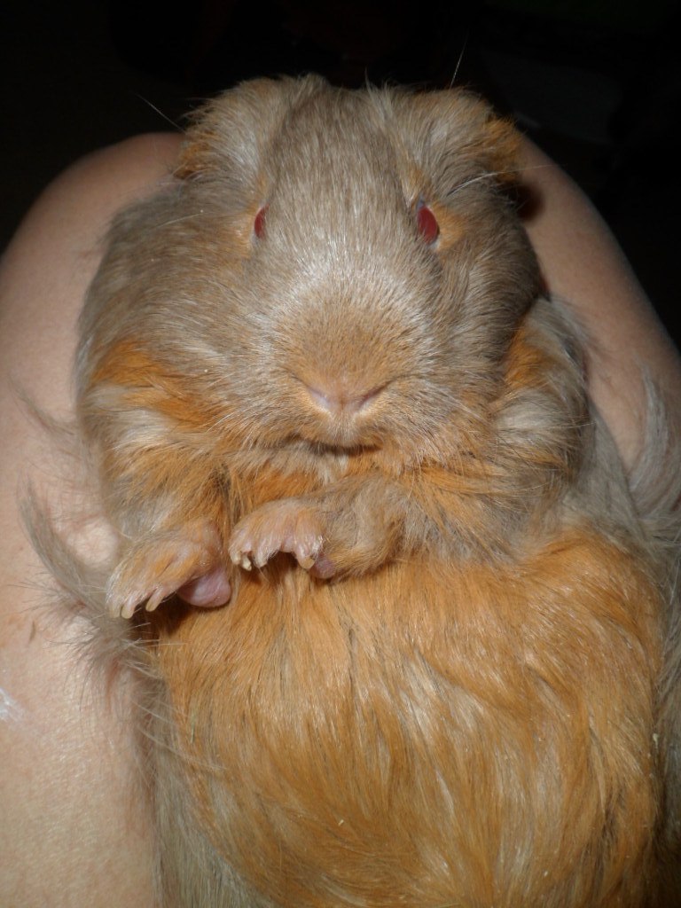 Yana Litvinova | Москва