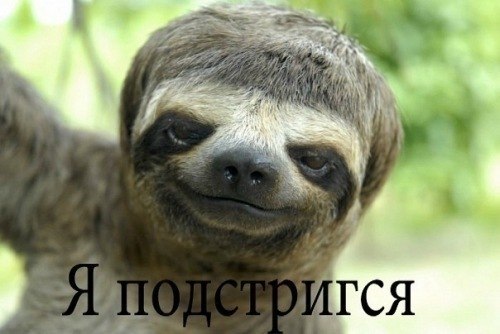 Дима Ситников | Киев