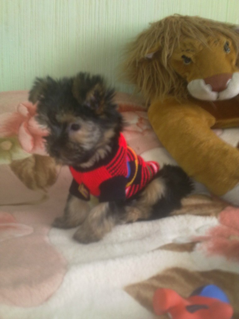 Наталья Умерова | Москва