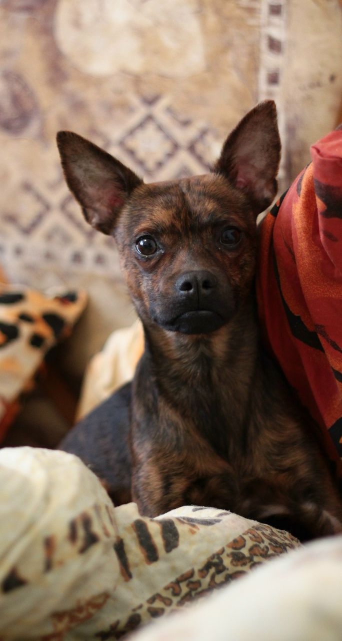 Наталья Чечурина | Санкт-Петербург