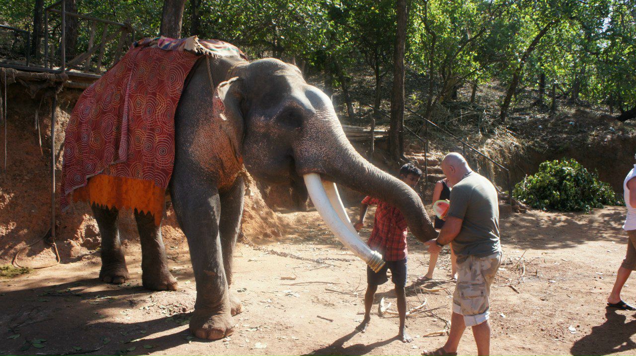 Сергей Иванов | Рязань