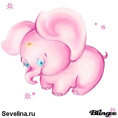 Мария Скорых | Белгород