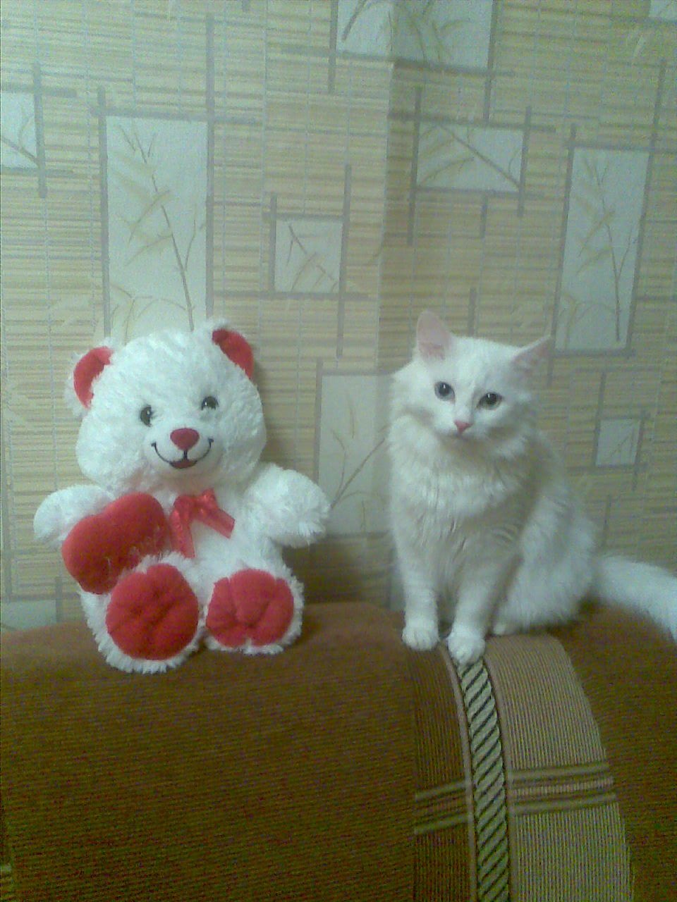 Лолита Авдеева | Нижний Новгород