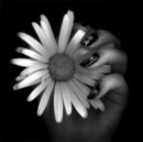 Фотография Лизочка Зайкина