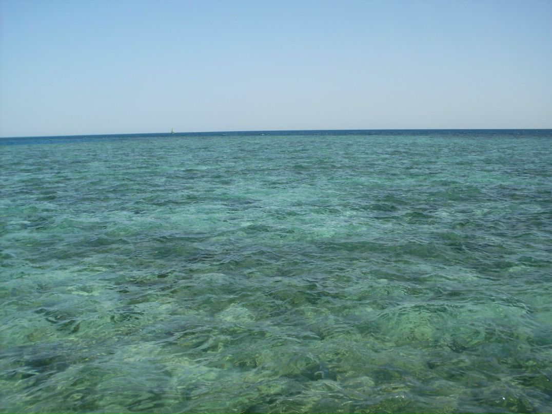 Елена Богатырева | Орёл