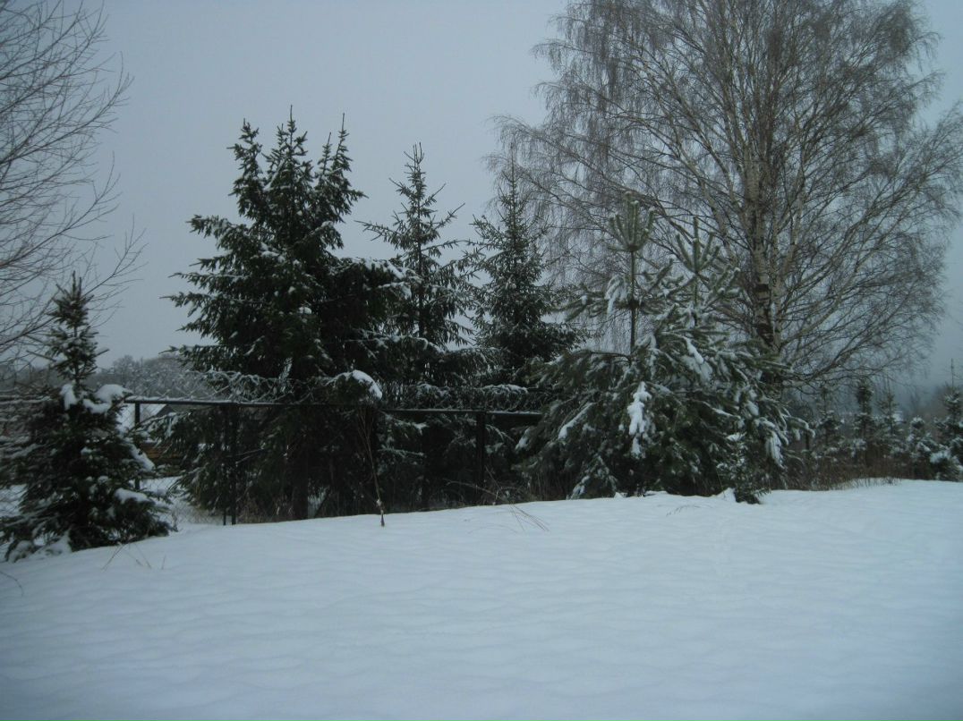 Елена Курицина - Шмакова | Ярославль