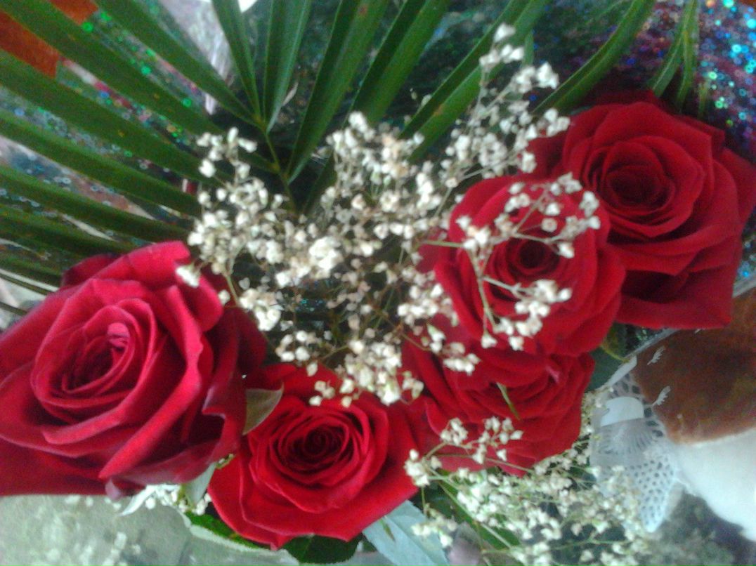 Лариса Усова | 