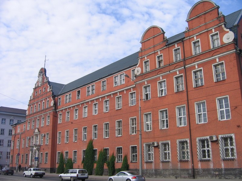 Петр Дорохов Кит | Калининград