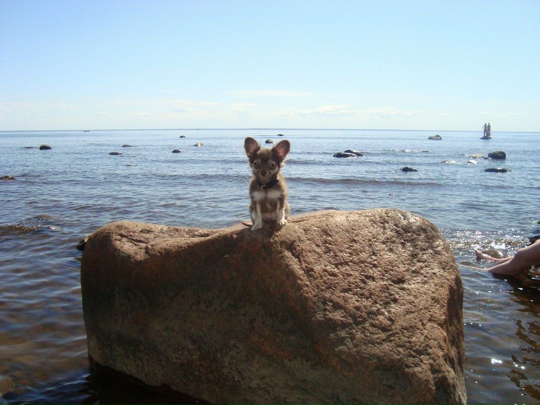 Анастасия Быкова | Санкт-Петербург