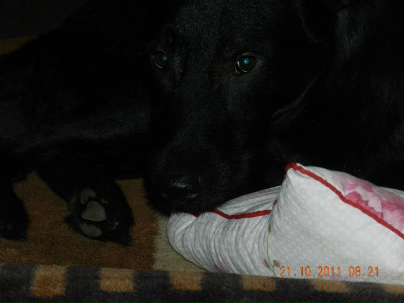 Ирина Калинина Ивановна | Ижевск