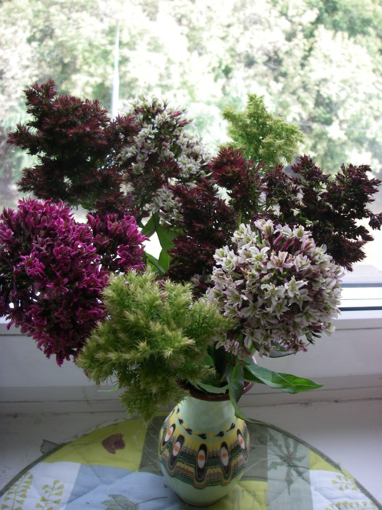 Галина Немирова | 