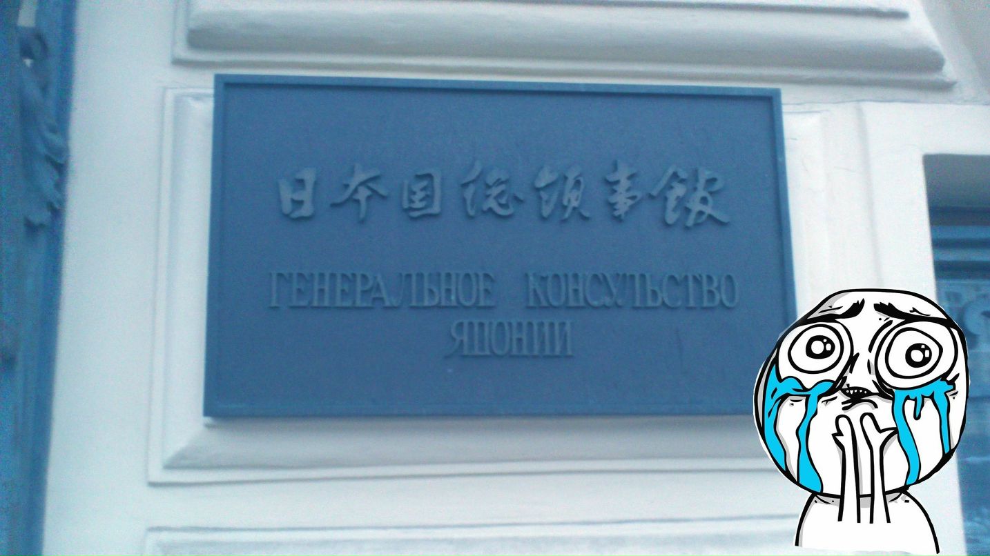 Даша Пономарева | Seoul