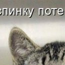 №15 Виктория Юдина 31.01.1996: профиль, фото, статус - ВКонтакте