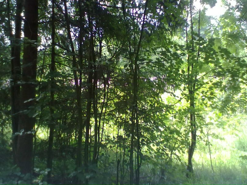 Евгений Горшков | Москва