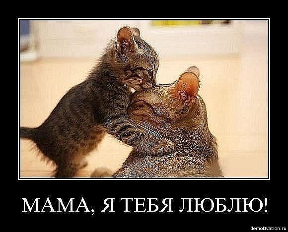 Алёна Фоменко ₪ ø lll .o· | Киев