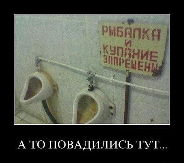 Дан Кузнецов Кот_с_автоматом | Орёл