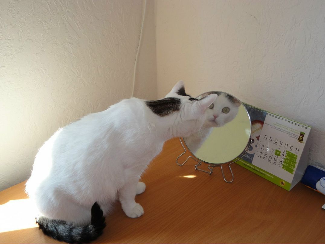 Катя Яроцкая | Киев