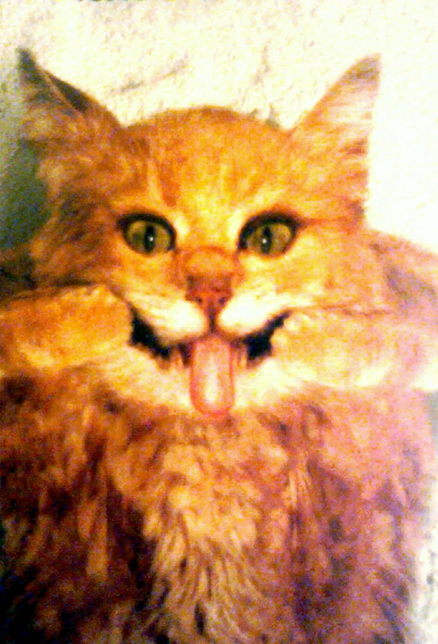 Анастасия Балюлина | Москва