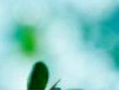 Надежда Клименко | Санкт-Петербург