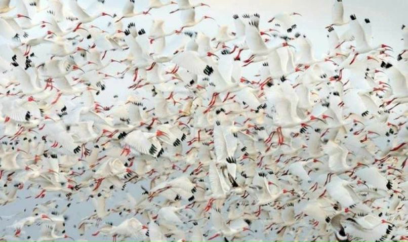 Юрий Юрьевич | Москва