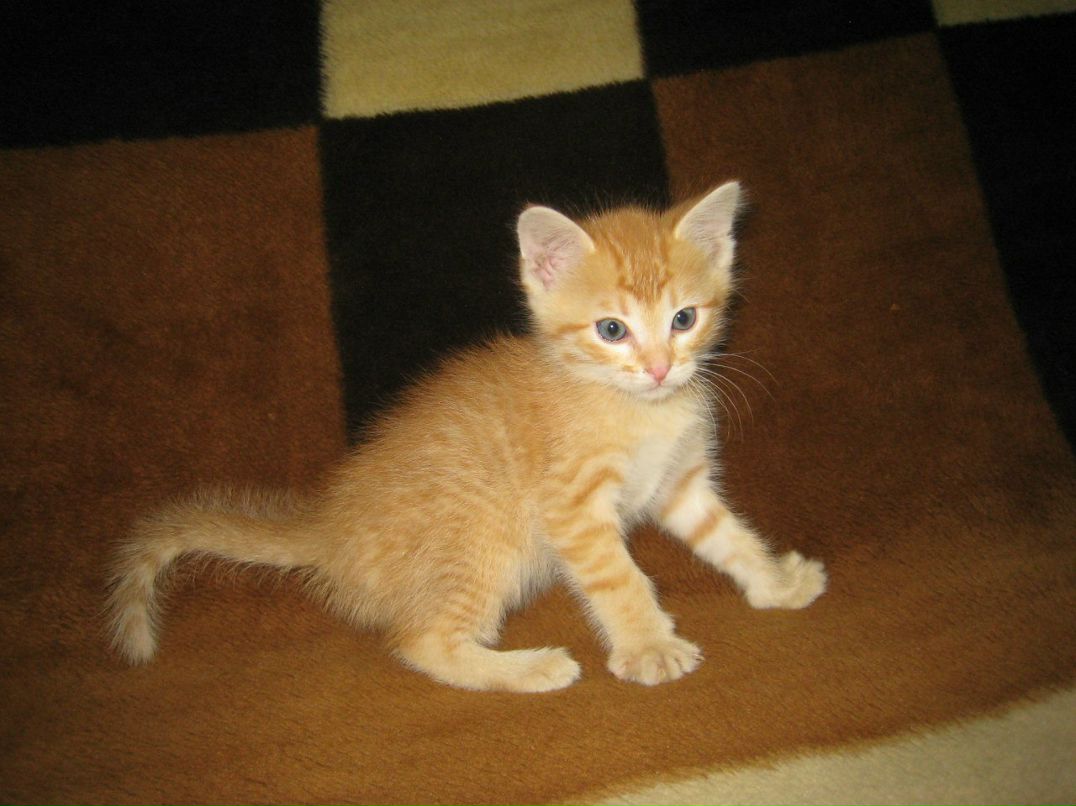 Павел Сдобнов | Москва