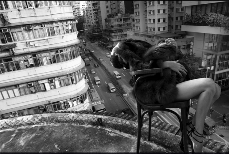 Светлана Утемова | 