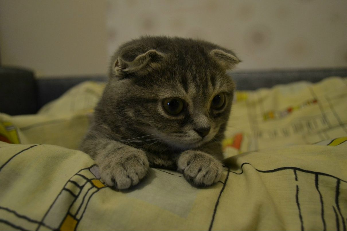 Маша Басова | Екатеринбург