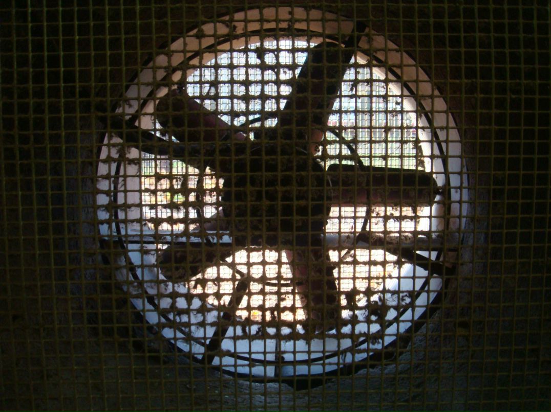 Ольга Дорохова | Санкт-Петербург