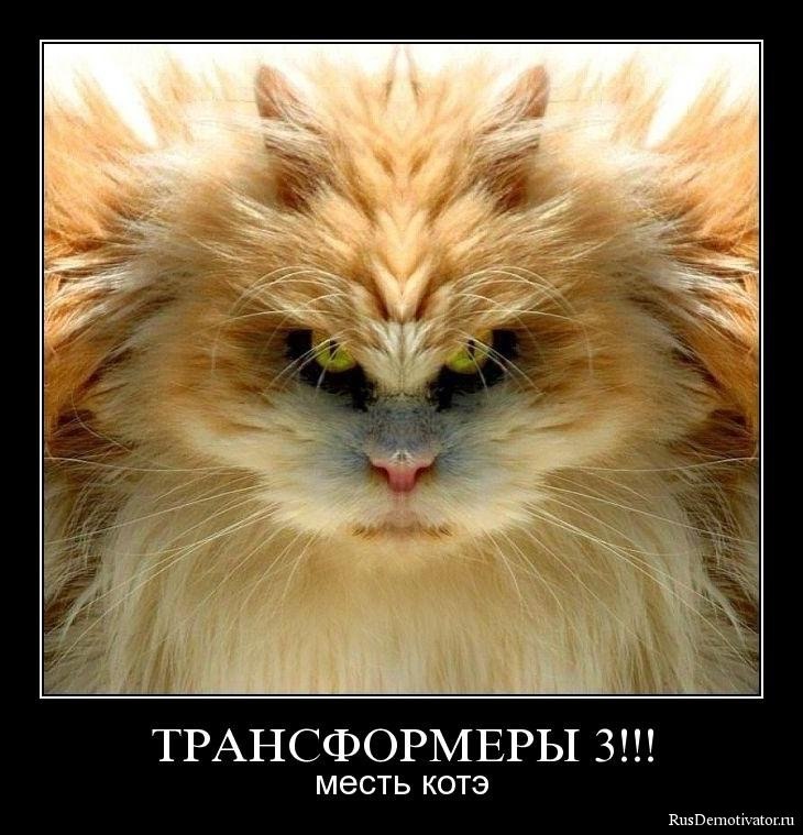 Александр Ковров | Самара