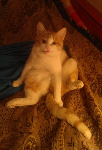 Анастасия Бозрикова Public Prosecutor | Астрахань