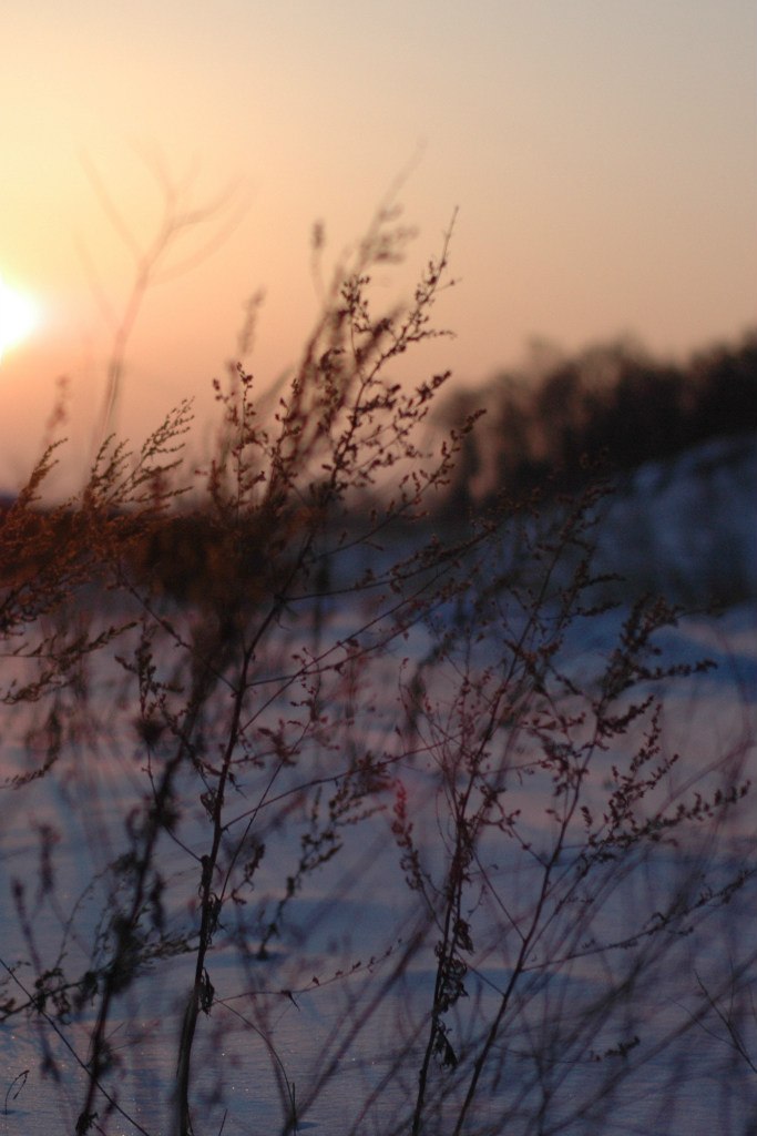Дмитрий Антонов | Санкт-Петербург