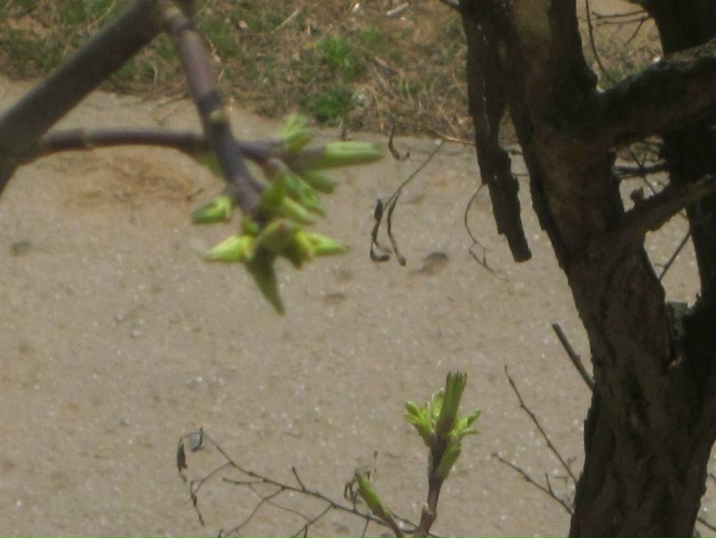 №10, Ирина Колтун, Волжский №10, Ирина Колтун, Волжский