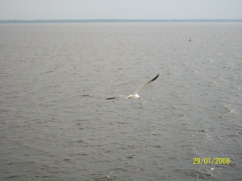 Анна Евтюгина | Санкт-Петербург