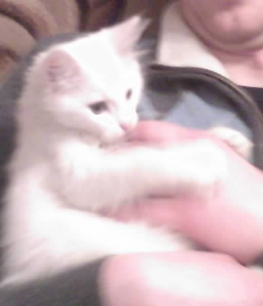 №9, Александр Лапчевский, 43 года, Киев №9, Александр Лапчевский, 43 года, Киев