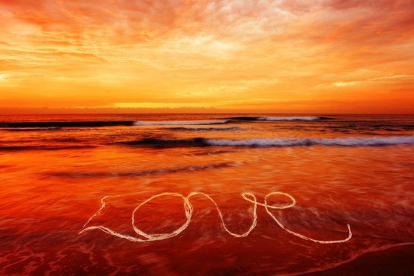 Анна Гук | Львов