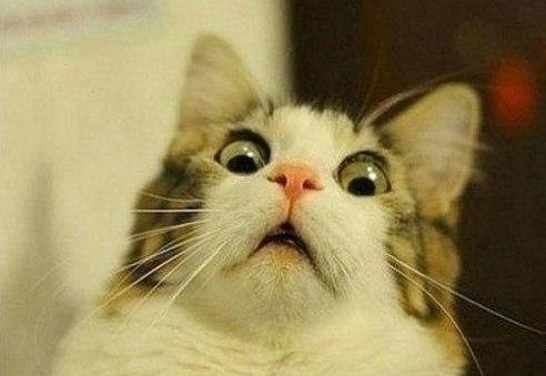 Антон Дон | Melbourne