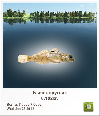 Николай Пащенко | Пятков Лог