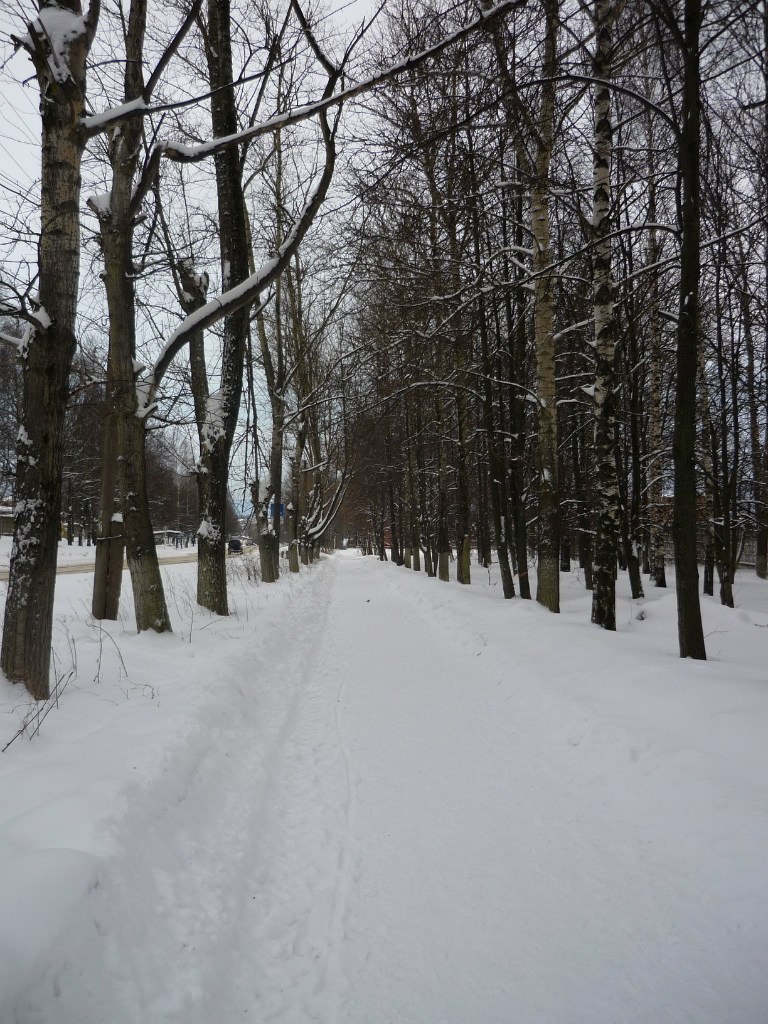 Светлана Шевченко | Санкт-Петербург