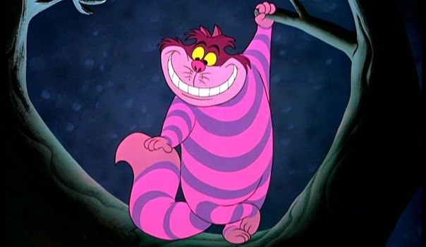 Дана Кецман фото профиля #1