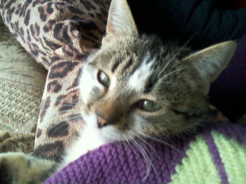 Настюша Волкова | Первомайск