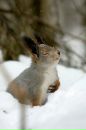 №40 Ирина Дэвидс 13.08: профиль, фото, статус - ВКонтакте