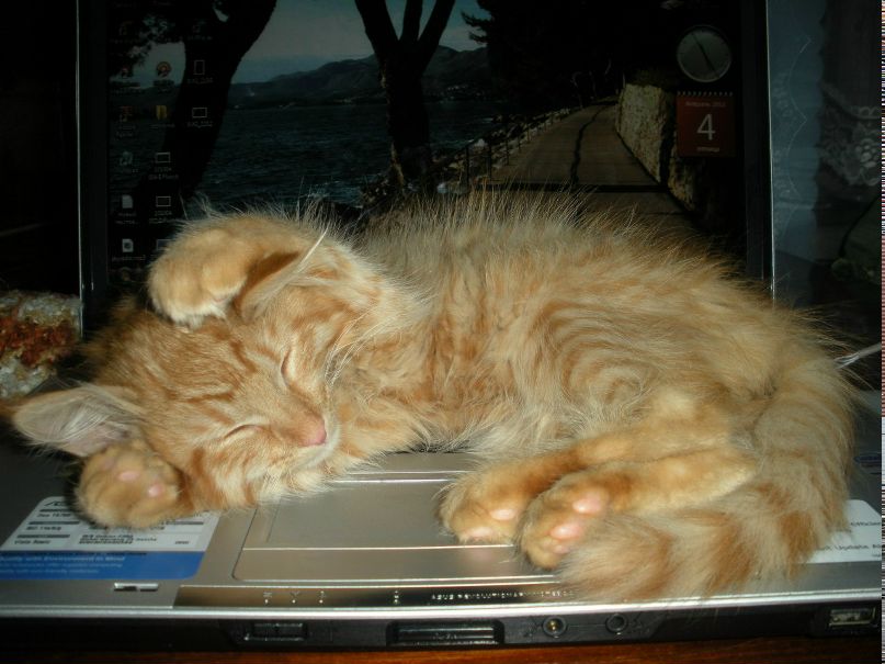 Дмитрий Богданов | Волгоград