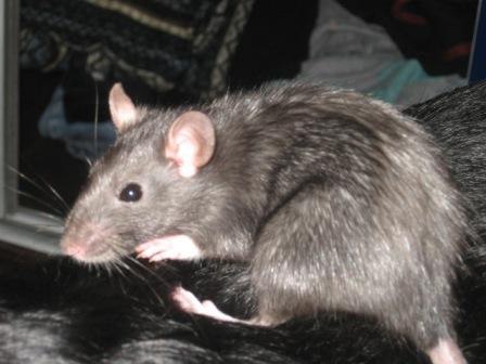 Ксюша Быкова | Нифантово