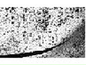 Дмитрий Москалюк | Львов