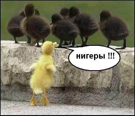 Андрей Зидамышев | Пермь