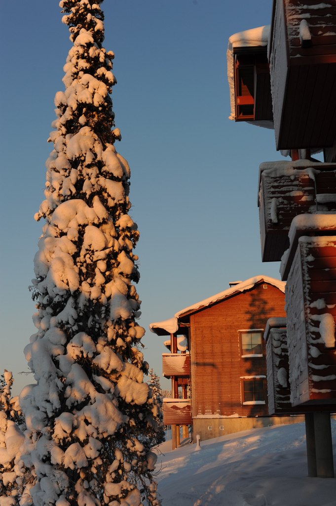 Вова Галайко | Москва